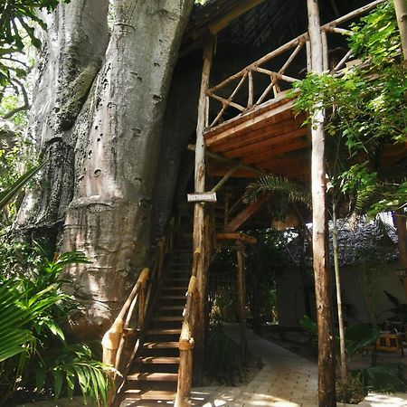 Baobab Africa Lodge Zanzibar Mtende 外观 照片