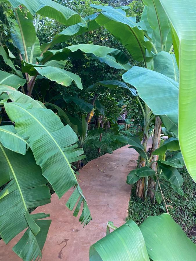 Baobab Africa Lodge Zanzibar Mtende 外观 照片