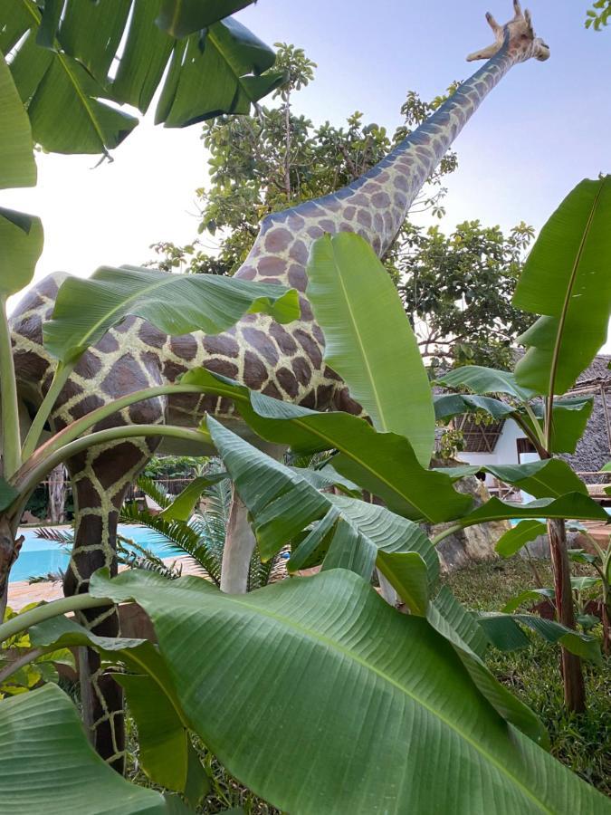 Baobab Africa Lodge Zanzibar Mtende 外观 照片