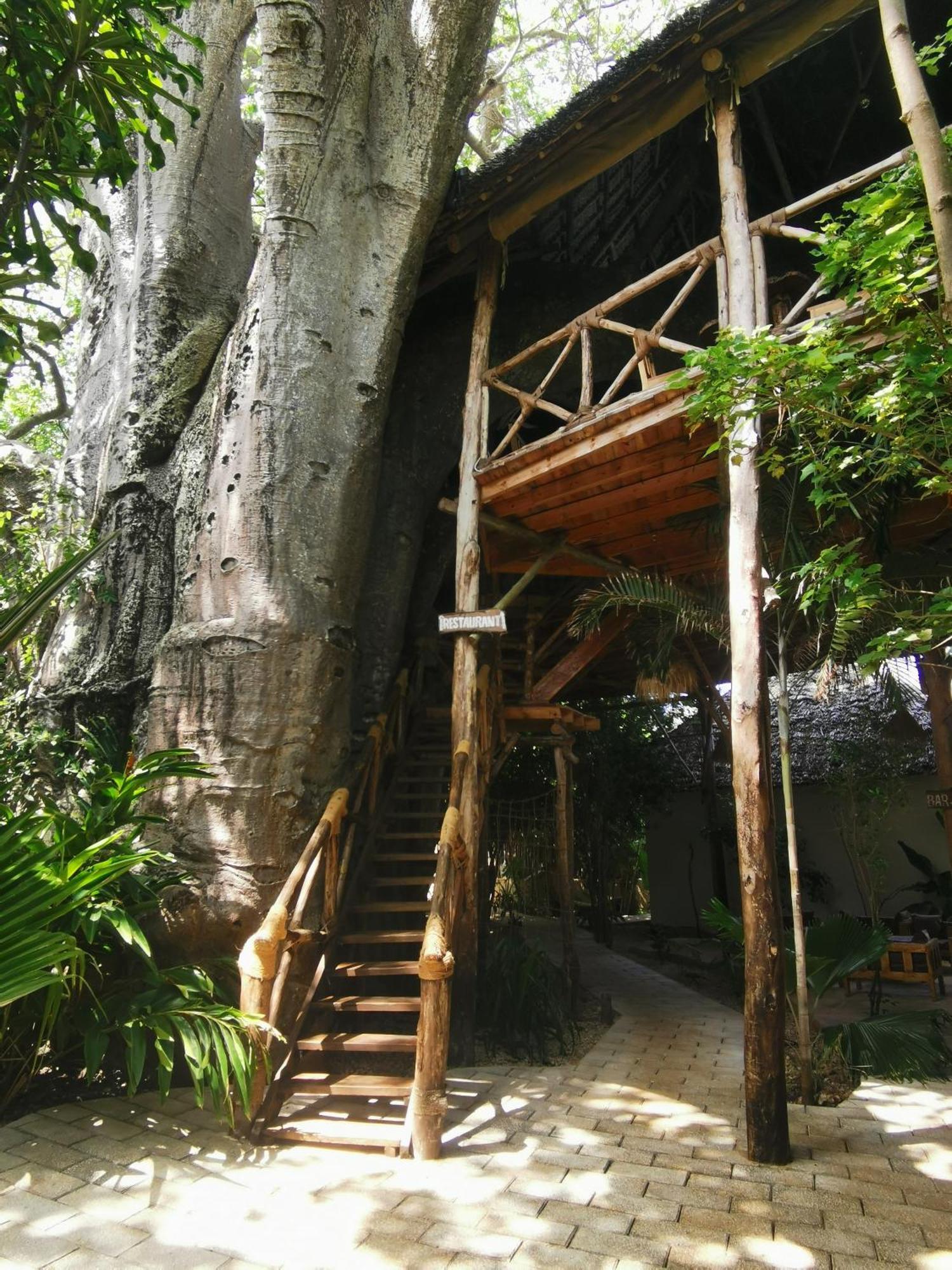 Baobab Africa Lodge Zanzibar Mtende 外观 照片